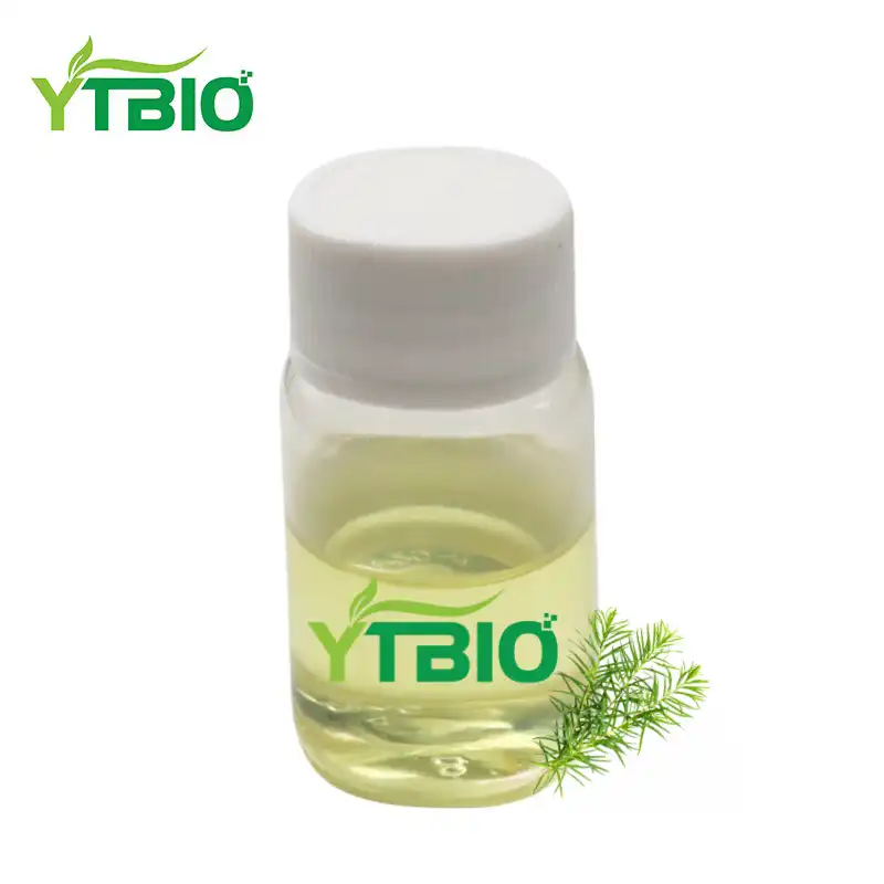 Best Tea Tree Essential Oil